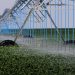 How Agribusiness Can Mitigate Water Risk