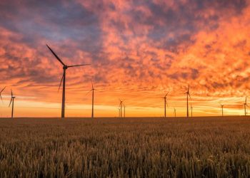 Why More, Not Less, Clean Energy is the Solution to High Prices