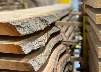 How 3 Cities Can Turn Downed Trees Into Revenue