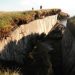 If you’re not thinking about the climate impacts of thawing permafrost, (here’s why) you should be |