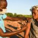 Africa needs to ramp up COVID-19 vaccination rate six-fold |