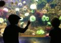 Teaching key to better ocean protection, says UNESCO chief |