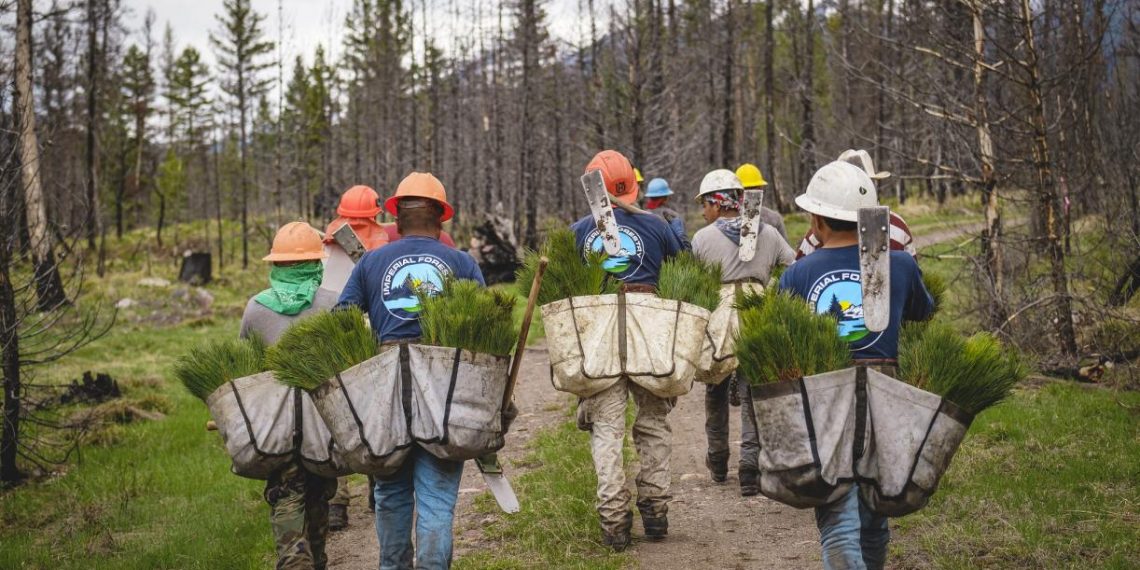 US Carbon Removal Technology & Initiatives