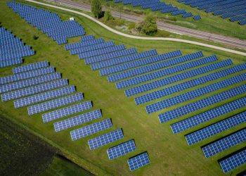 Your Country Set a Net-Zero Target: What’s Next?