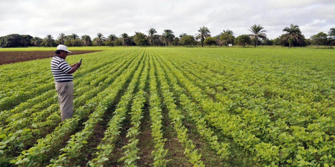 5 Takeaways on Cropland Expansion and What It Means for People and the Planet