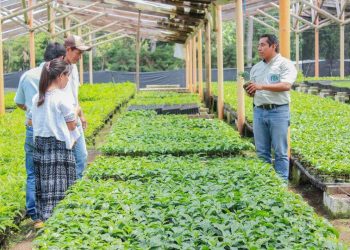 How Governments Can Reward Farmers for Conservation Efforts