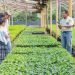 How Governments Can Reward Farmers for Conservation Efforts
