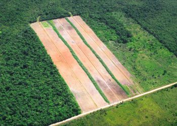 How to Manage the Global Land Squeeze? Produce, Protect, Reduce, Restore