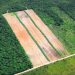 How to Manage the Global Land Squeeze? Produce, Protect, Reduce, Restore