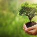 4 Easy Ways To Make Your Life Greener