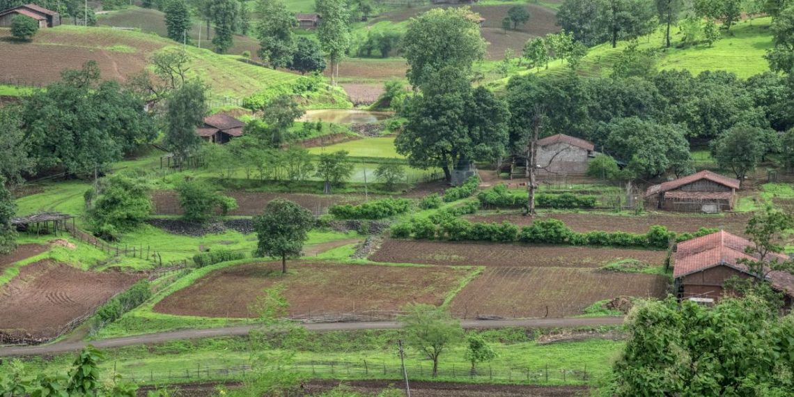 How To Responsibly Grow Millions of Trees Outside of Forests in India