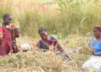 Meet 20 Entrepreneurs Restoring Land in Malawi