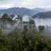 Preserving Forest Integrity is as Crucial as Stopping Deforestation
