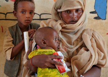 Ukraine war linked to ‘massive malnutrition crisis’ affecting millions in other emergencies |