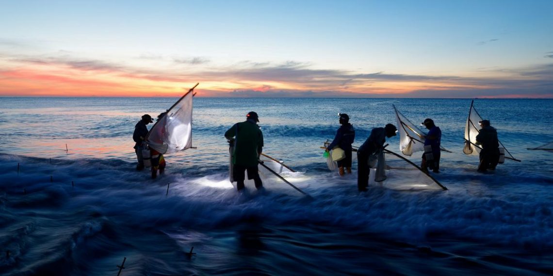 5 Ways to Build an Equitable Ocean Economy