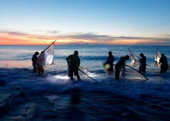 5 Ways to Build an Equitable Ocean Economy