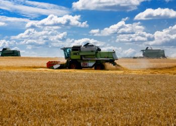 7 Ways to Support Food Security & the Climate in Ukraine