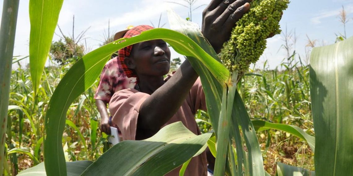 Experts Share 3 Lessons on Turning Adaptation Science into Action