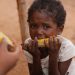 Better prevention and targeting of root causes needed to combat food crises |
