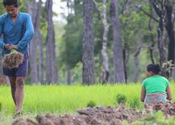 High-level UN conference debates precious commodity: Land |