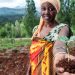 UN focus on plant health, crucial for boosting food security worldwide |