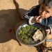 ‘Coalition of the willing’ to ensure healthy diets from sustainable food systems |
