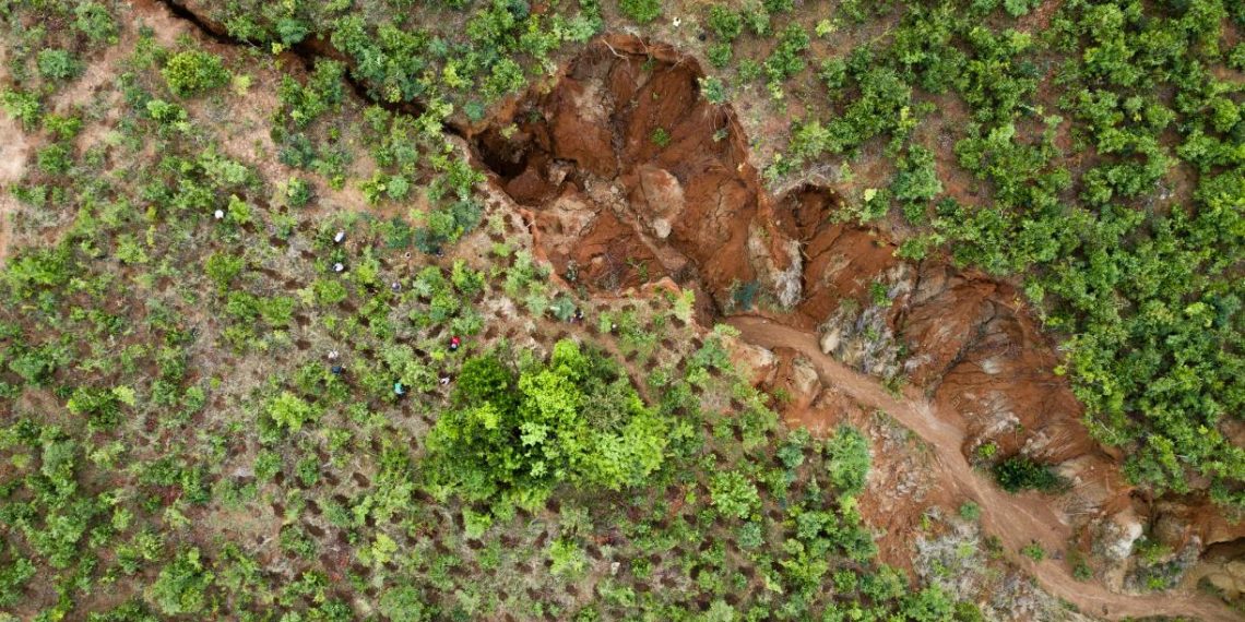 How We Funded Africa’s Top 100 Land Restoration Projects and Enterprises