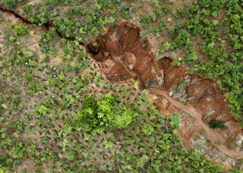 How We Funded Africa’s Top 100 Land Restoration Projects and Enterprises