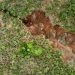 How We Funded Africa’s Top 100 Land Restoration Projects and Enterprises