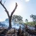 Natural resources must be ‘part of the solution’ in fight against deforestation |