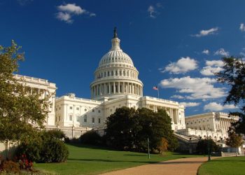 Federal Carbon Removal Leadership | World Resources Institute