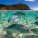 ‘Revitalize our seas’ UN chief urges on World Oceans Day |