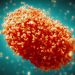 WHO to determine if Monkeypox should be declared ‘Emergency of International Concern’; rights expert warns of COVID ‘vaccine apartheid’ |