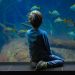 Ocean literacy and unlocking a revolution in ocean science solutions |