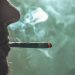 UN drug report shines light on cannabis, cocaine and methamphetamine trends |