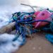 Tackling marine pollution: Individual action, key to ocean restoration |