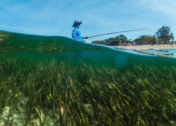 Sustainable blue economy vital for small countries and coastal populations |