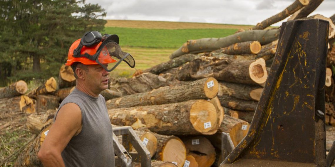 Tracking Timber Helps Prevent Illegal Logging and Illegal Deforestation. Here’s How.