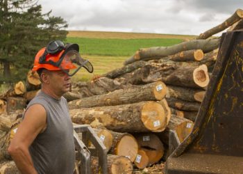 Tracking Timber Helps Prevent Illegal Logging and Illegal Deforestation. Here’s How.