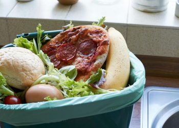 Reducing Food Waste Through Behavioral Science