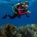 Scientific knowledge essential for sustainable oceans, UN Ocean Conference hears |