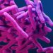 Develop more vaccines to combat ‘silent pandemic’ of antimicrobial resistance: WHO |