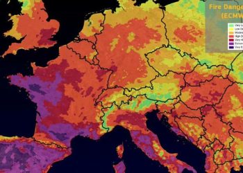 Record 40°C UK temperatures linked to climate change: WMO |