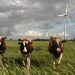 Top Tips for an Eco-Friendly Vacation in Munich