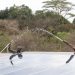 De-risking Climate-smart Investments | World Resources Institute