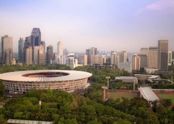 5 Reasons Cities Should Include Trees in Climate Action