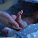 More breathing devices needed for premature babies born in Ukraine  |