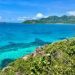 After the storm: what an environmental tragedy can teach us about climate resilience and ecosystem restoration |