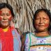Showcasing nature-based solutions: Meet the prize-winning indigenous peoples