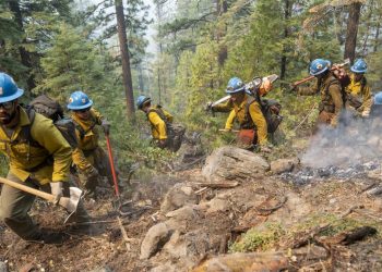 How to Protect Forest Carbon in a Fire-prone Future | World Resources Institute Wildfire and Forest Carbon